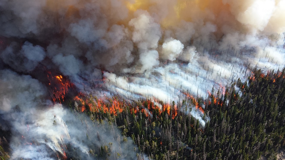 В Нижегородской области возрос риск возникновения лесных пожаров - фото 1