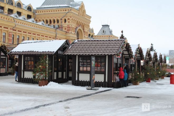 Пингвины, карусель и лунный каток: карта самых атмосферных новогодних локаций Нижнего Новгорода - фото 44