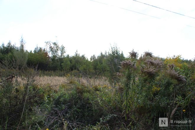 Нижегородцам показали, где будет построен огромный склад Wildberries - фото 5