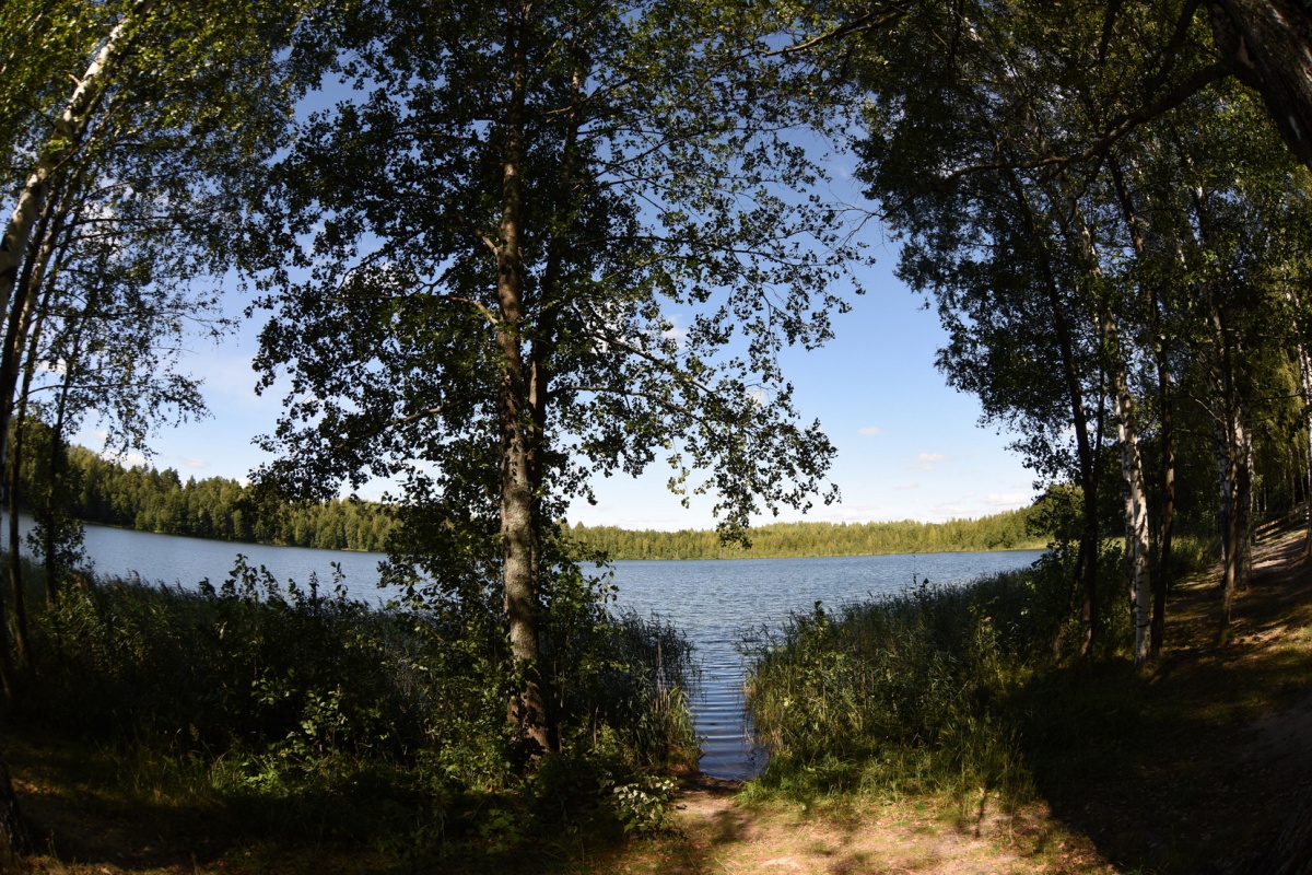 Территорию озера Светлояр можно будет посетить по новым правилам - фото 1