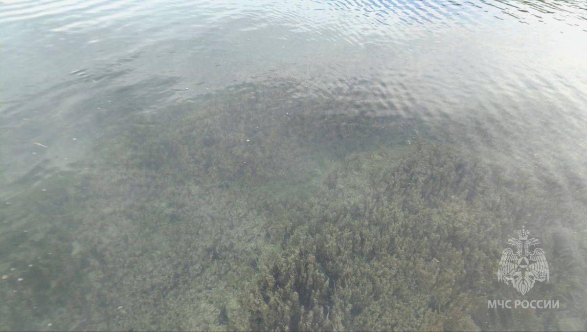 Тело рыбака достали из Оки в Нижнем Новгороде - фото 1