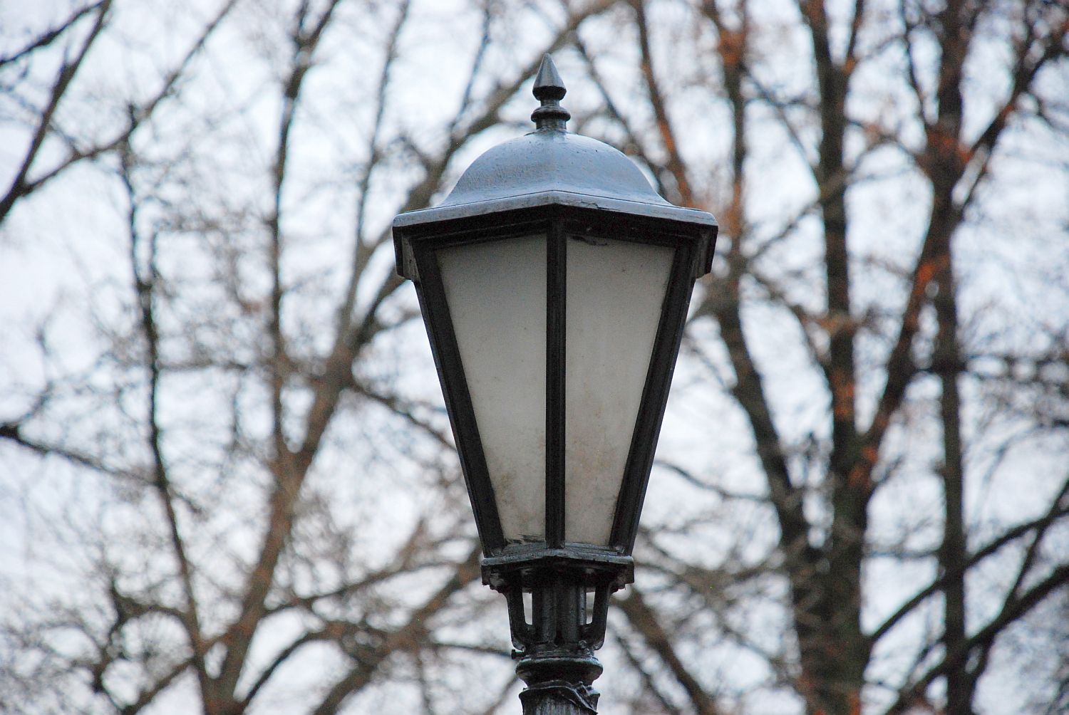 Ровный свет уличного фонаря наполняя. Уличный светильник в Арзамасе. Уличный фонарь артикул 3439067 в Нижнем Новгороде. Приводят в подарок уличные фонари перед осенью и зимой.