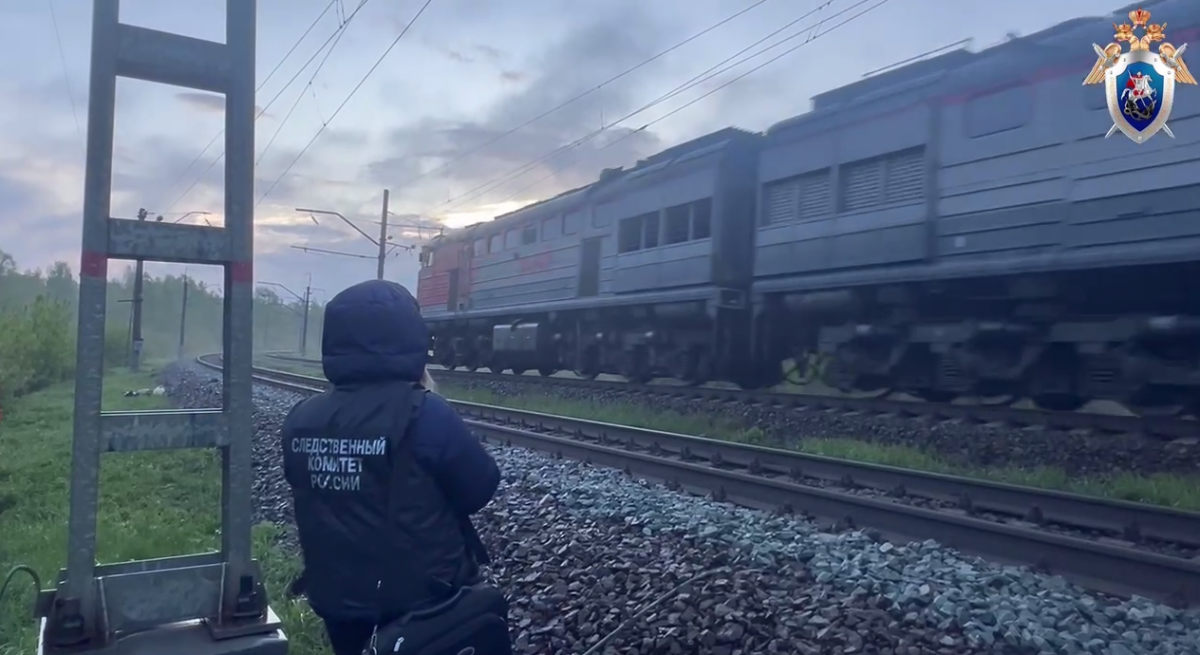 Поезд насмерть сбил женщину в Нижегородской области - фото 1