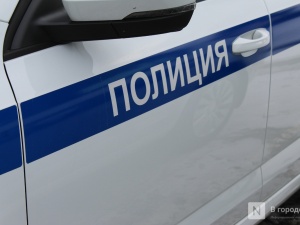 Парламентарий от ЛДПР в Нижнем Новгороде прокомментировал законопроект о штрафах за езду без разрешения