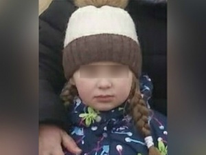 Следователи назвали орудие убийства девятилетней девочки на Бору