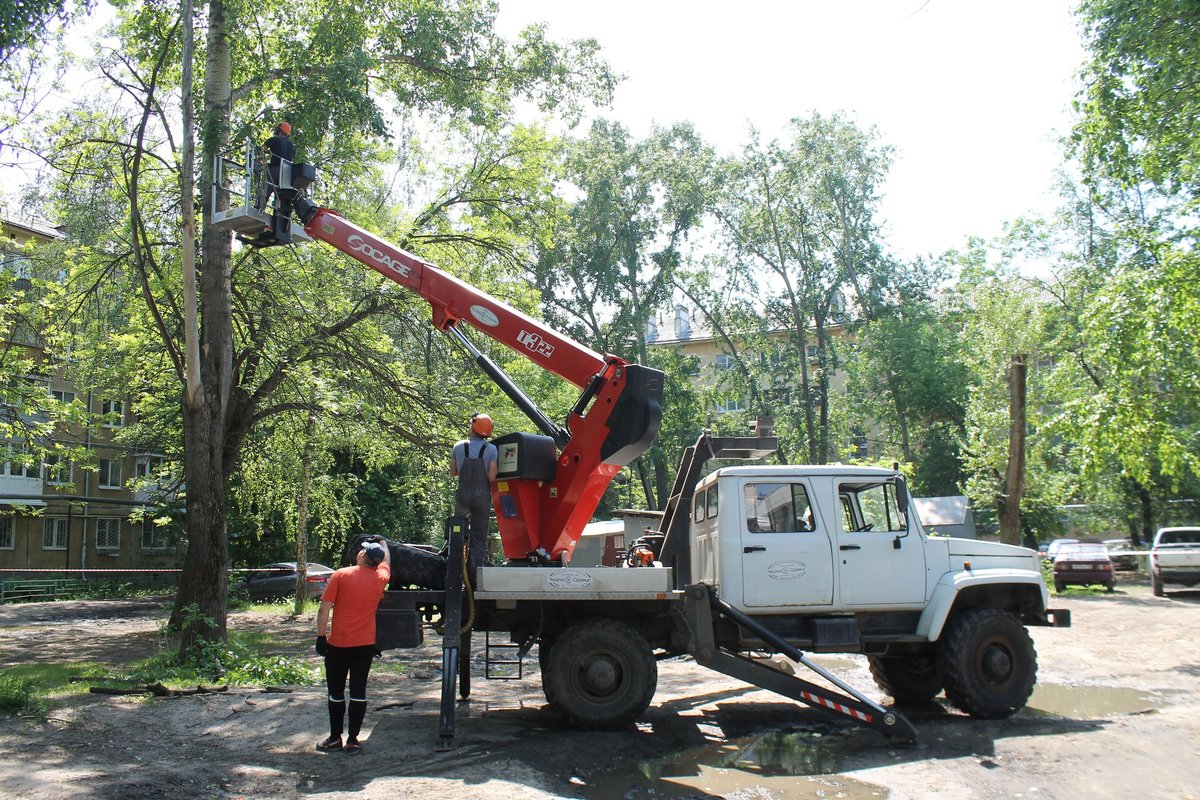 В Ленинском районе спилили девять аварийных деревьев - фото 1