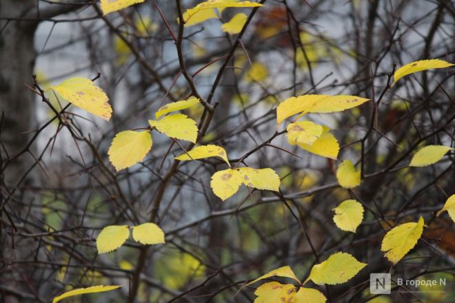 Фоторепортаж: как выглядит и чем поражает квартал 1833 года в Нижнем Новгороде - фото 52