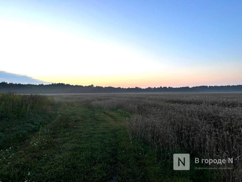 Более 110 населенных пунктов упразднили в Нижегородской области - фото 1