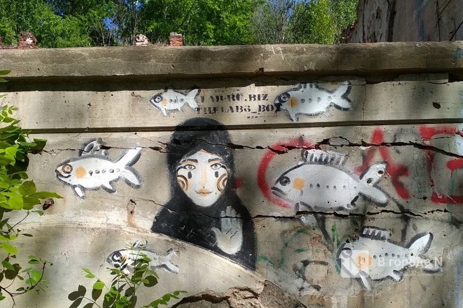 Нижегородский стрит-арт: где заканчивается вандализм и начинается искусство - фото 1