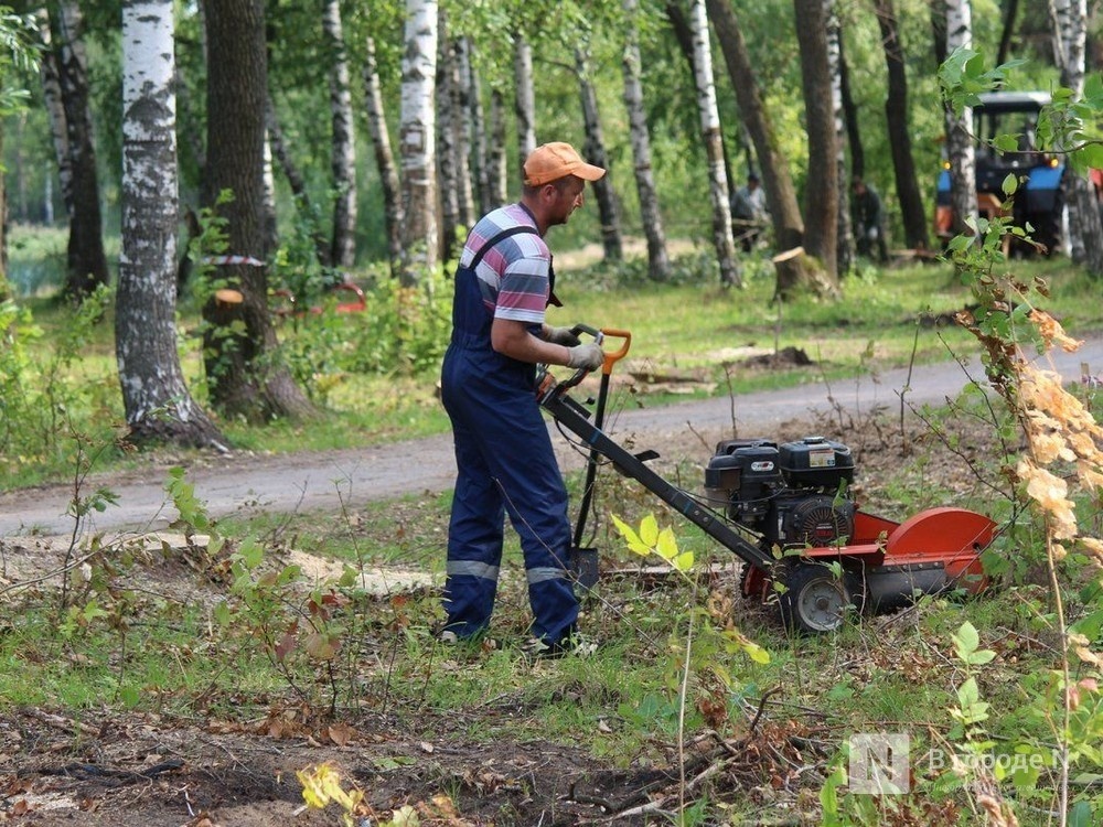 Почти 210 тысяч нижегородцев проголосовали за объекты благоустройства