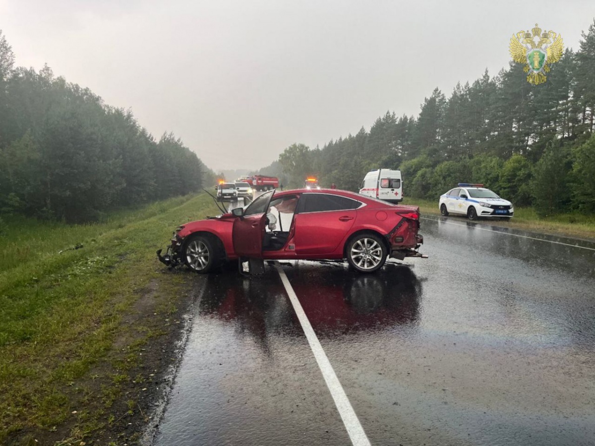 ДТП с четырьмя погибшими в Нижегородской области закончилось судом