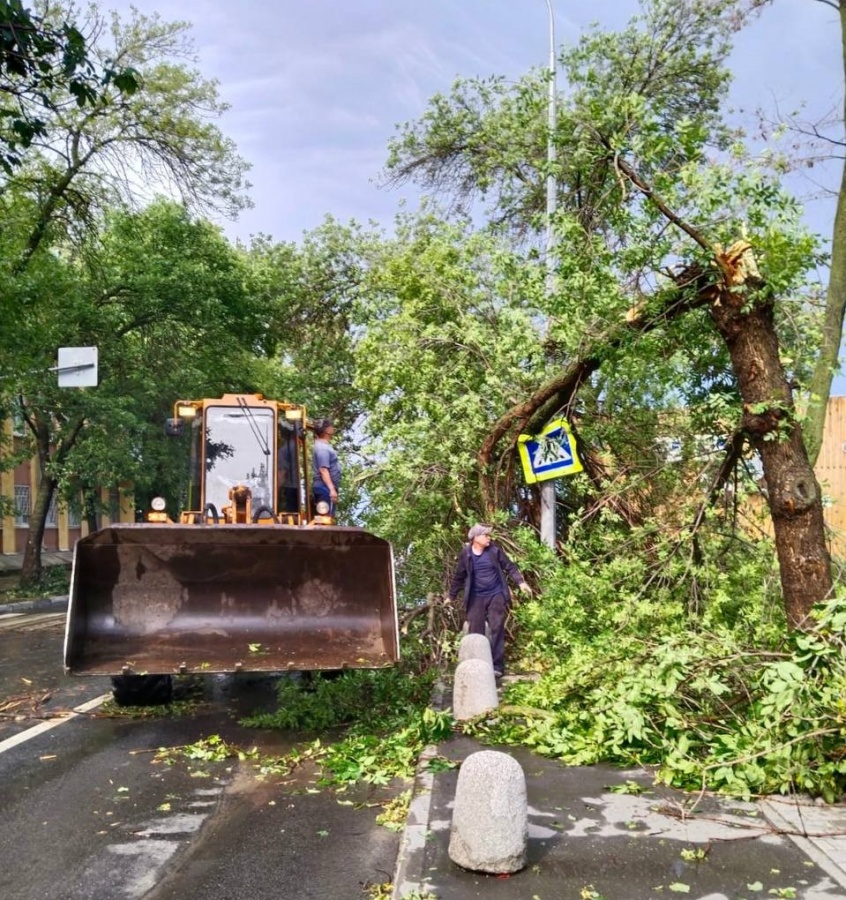 Ураганный ветер повалил более 40 деревьев в Нижнем Новгороде - фото 1