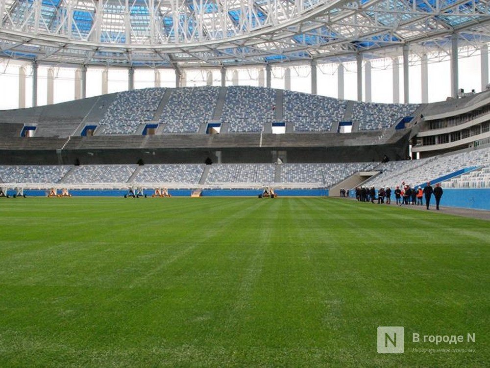 Футболисты &laquo;Динамо&raquo; Москва провели матч в поддержку дальневосточных леопардов - фото 1