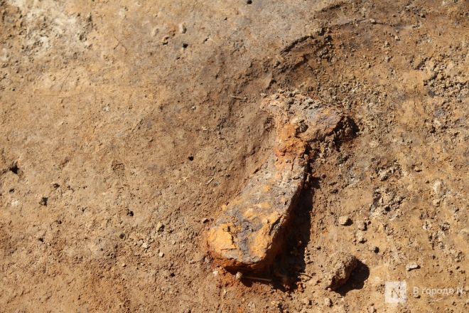 Опубликованы фото с места археологических раскопок под Вачей - фото 10