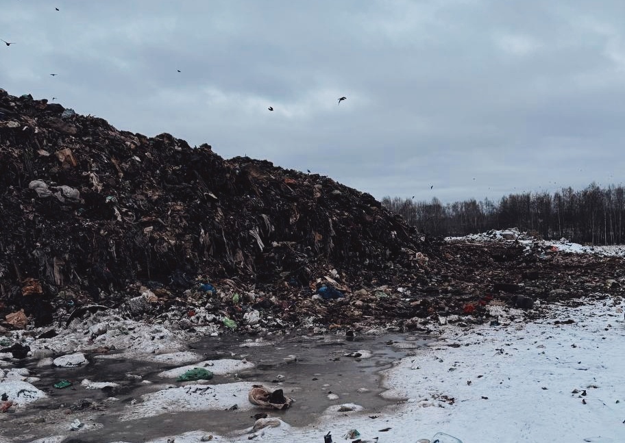 ООО &laquo;Реал Кстово&raquo; обжаловало решение о закрытии полигона ТКО - фото 1