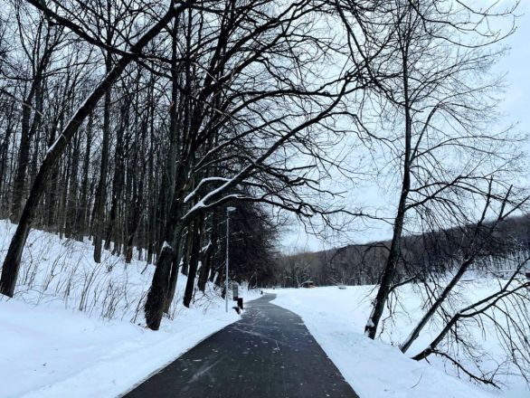Заснеженные парки и &laquo;пряничные&raquo; домики: что посмотреть в Нижнем Новгороде зимой - фото 118