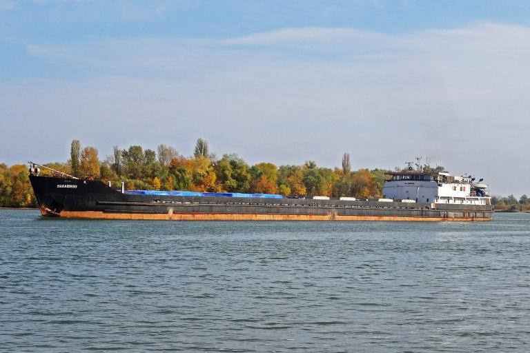 Грузовое судно село на мель в Нижегородской области - фото 1