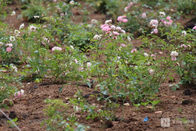 Благоустройство &ndash;  2025: смотрим, как меняются пространства в районах Нижнего Новгорода - фото 36