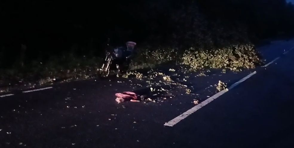 Мопед наехал на упавшее дерево в Нижегородской области: пострадал водитель - фото 1