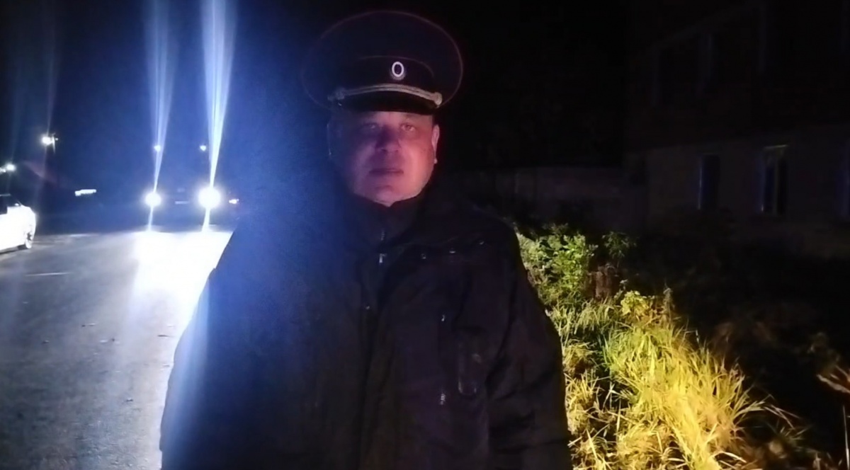 Женщина погибла под колесами иномарки в Нижегородской области - фото 1