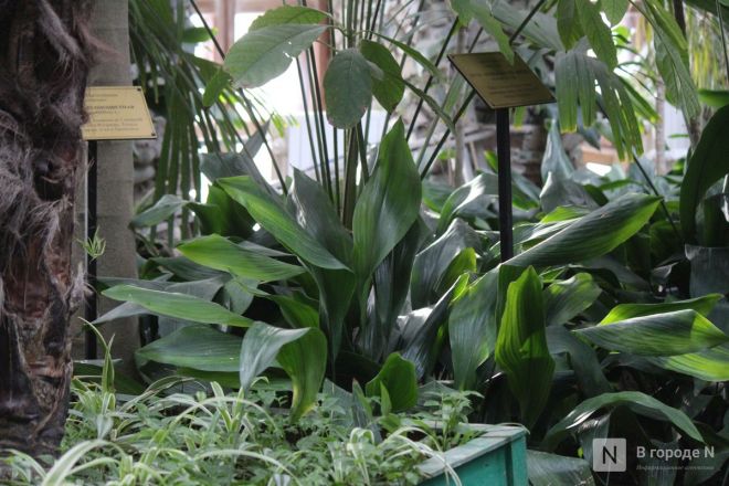 Бобры, костелы и закрытые музеи: плюсы и минусы отдыха в Белоруссии зимой - фото 58