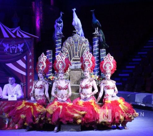 &laquo;Песчаную сказку&raquo; Гии Эрадзе покажут в нижегородском цирке - фото 32