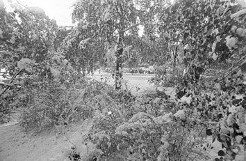 Самые снежные и морозные зимы в истории Нижнего Новгорода: какими они были - фото 49