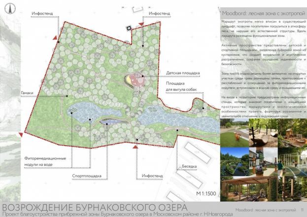 Представлена концепция благоустройства территории у Бурнаковского озера - фото 2