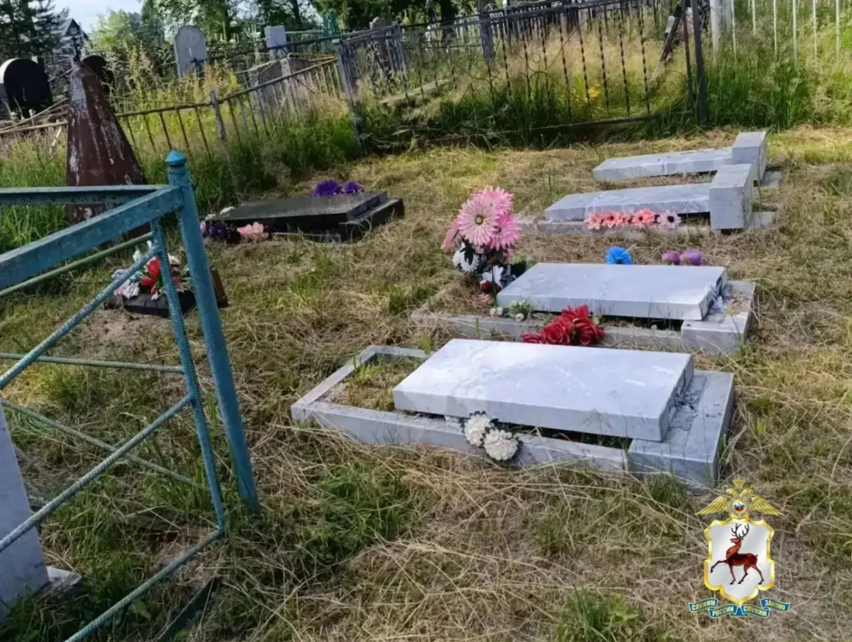 Дети разгромили кладбище в Нижегородской области ради развлечения - фото 1