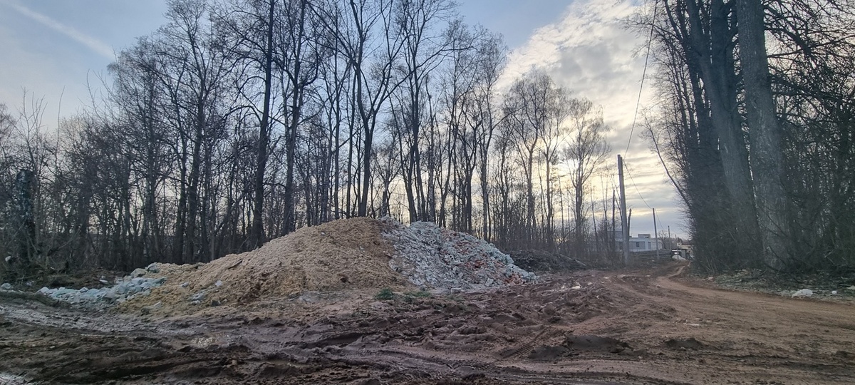 Неизвестные устроили свалку из камней в лесу у Анкудиновки - фото 2