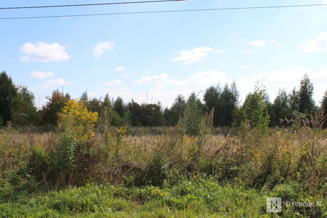 Нижегородцам показали, где будет построен огромный склад Wildberries - фото 10