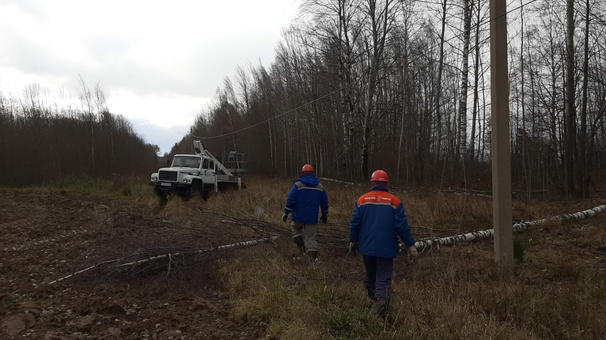 Электроснабжение восстановили в Нижегородской области после шквалистого ветра - фото 1
