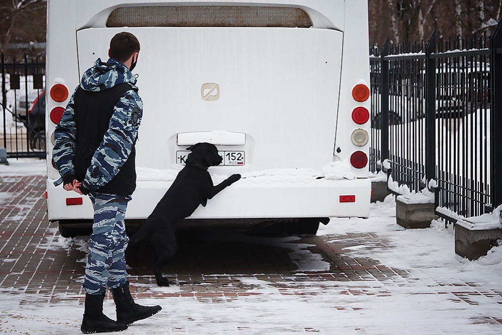 Свыше шести килограммов наркотиков изъяли нижегородские транспортные полицейские - фото 1