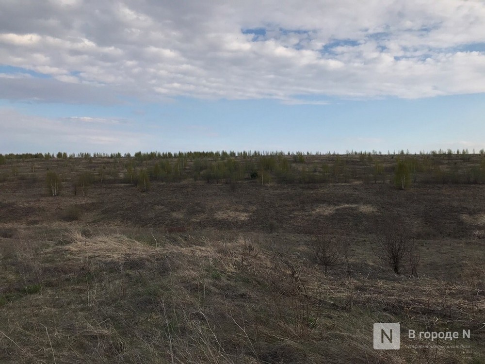 Три полигона для изучения углерода в почве заложили в Нижегородской области - фото 1