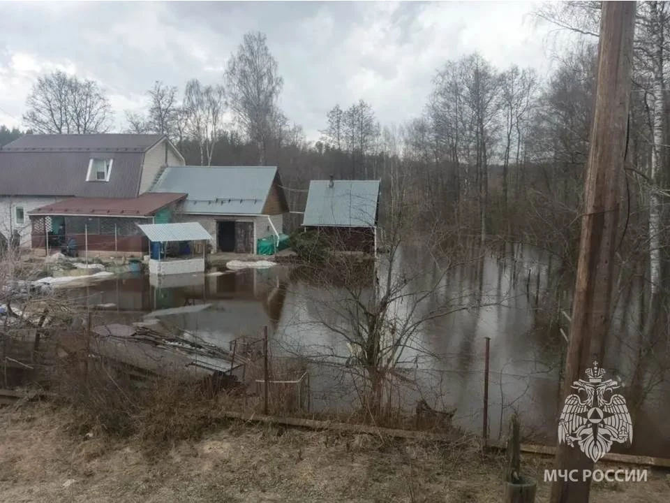 Паводок усиливается: рассказываем, что еще затопило в Нижегородской области - фото 2