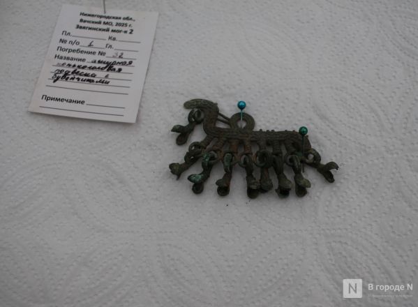 Опубликованы фото с места археологических раскопок под Вачей - фото 6