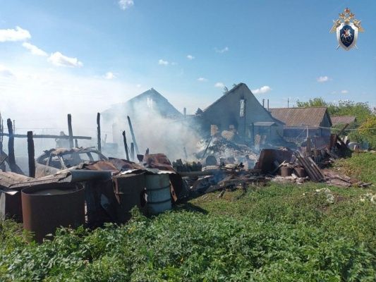 Следователи выясняют причины гибели жителя Большеболдинского района на пожаре - фото 2