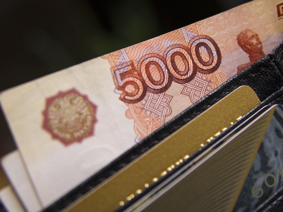 Еще 100 млн рублей выделят на поддержку бизнеса из бюджета Нижегородской области - фото 1