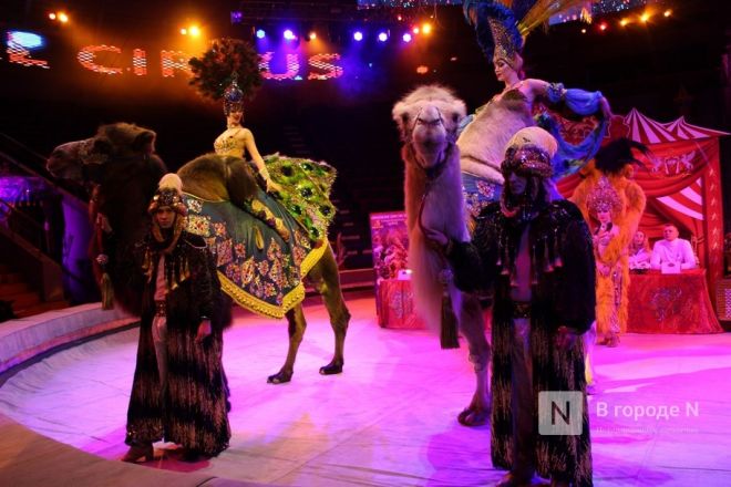 &laquo;Песчаную сказку&raquo; Гии Эрадзе покажут в нижегородском цирке - фото 42