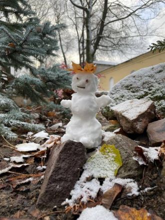 Нижегородцы делятся фотографиями первого снега и лепят снеговиков - фото 10