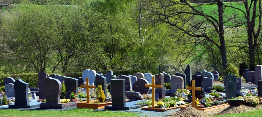Новое кладбище появится в Автозаводском районе - фото 1