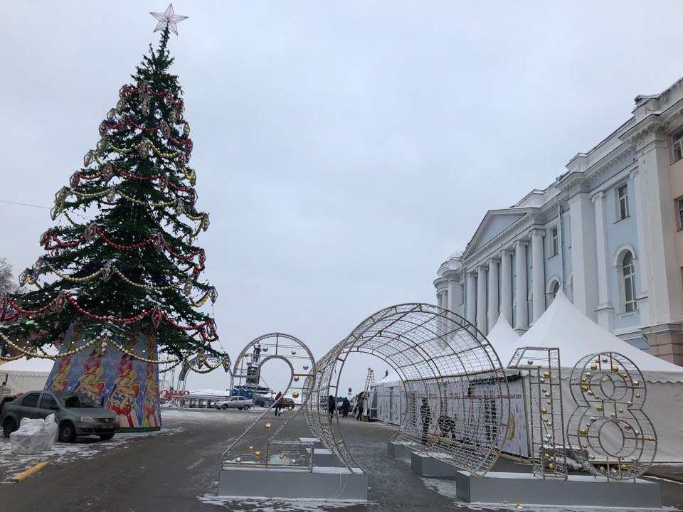 Новогодние елки появятся во всех районах Нижнего Новгорода к середине декабря - фото 1