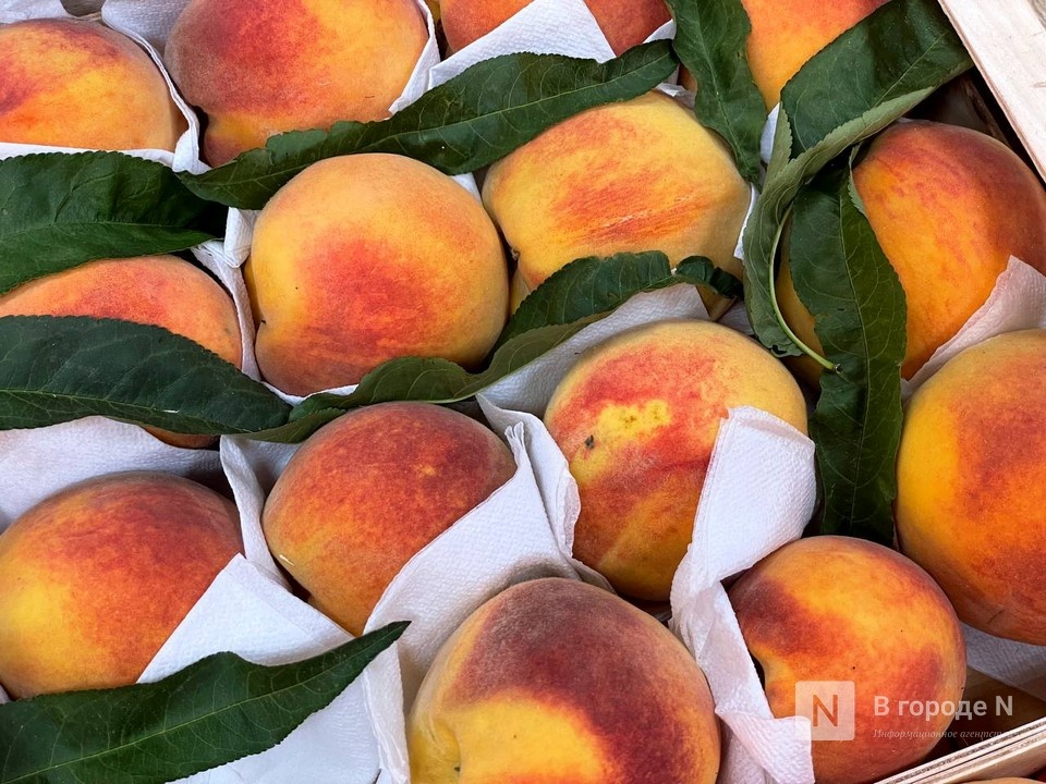 Около 30 кг запрещенной продукции пытались ввезти в Нижегородскую область - фото 1