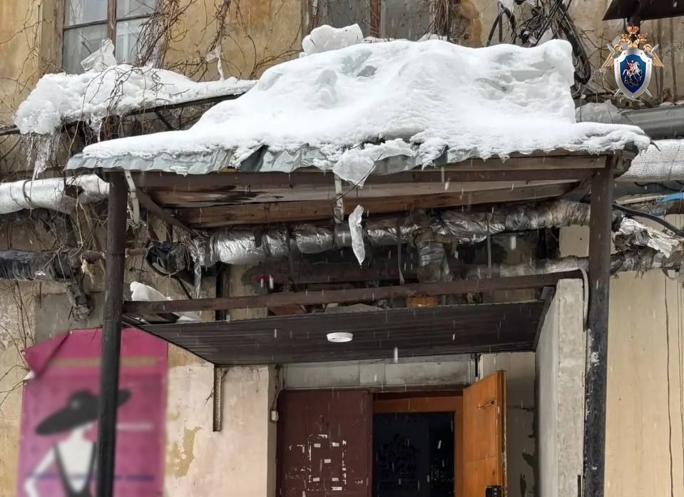 Бастрыкин расспросит, почему в Нижнем Новгороде на людей падает наледь - фото 1