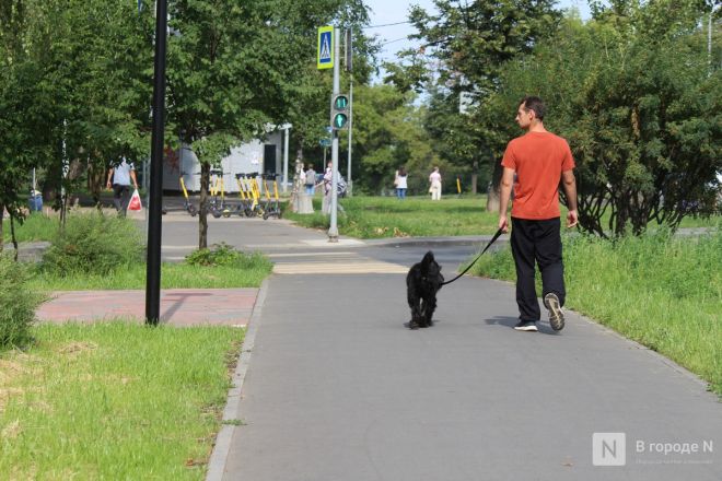 Опубликованы фото благоустраиваемых пространств Нижнего Новгорода - фото 5