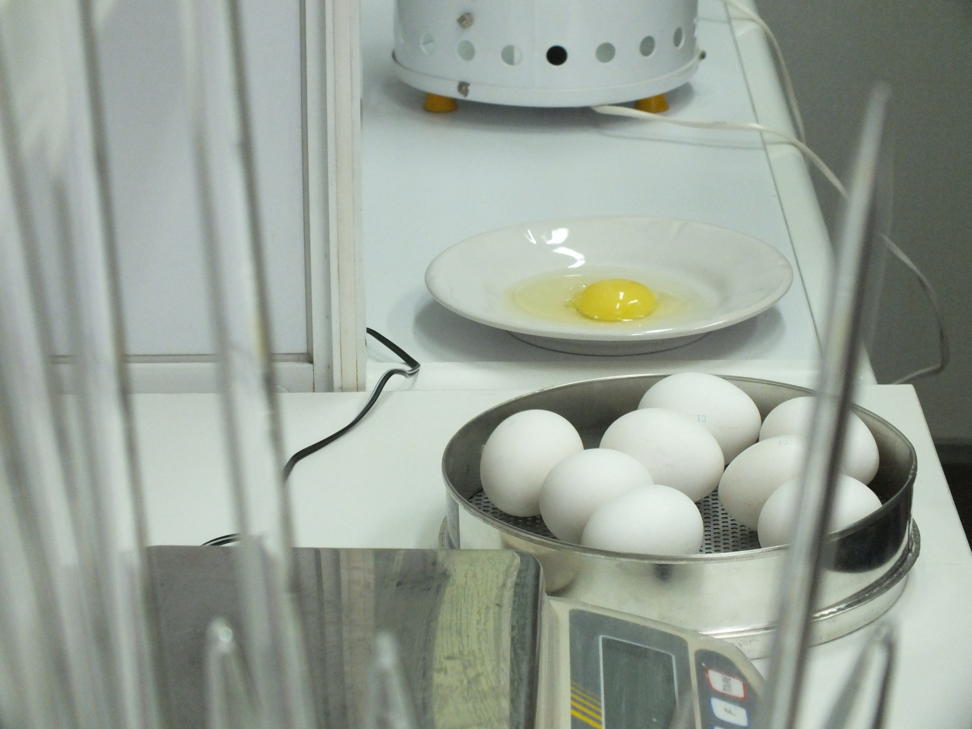 Не простое, а золотое: в Нижнем Новгороде проверили качество магазинных яиц - фото 6