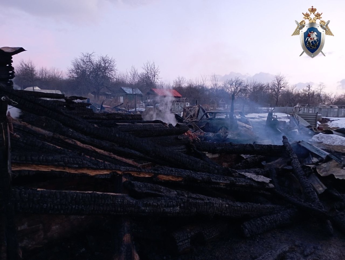 Пенсионер погиб на пожаре в Сосновском районе - фото 1