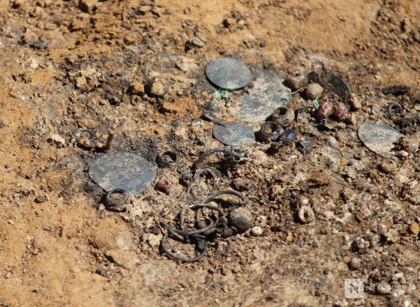 Могилы коней и старинные монеты: фоторепортаж с археологических раскопок в Нижегородской области - фото 94