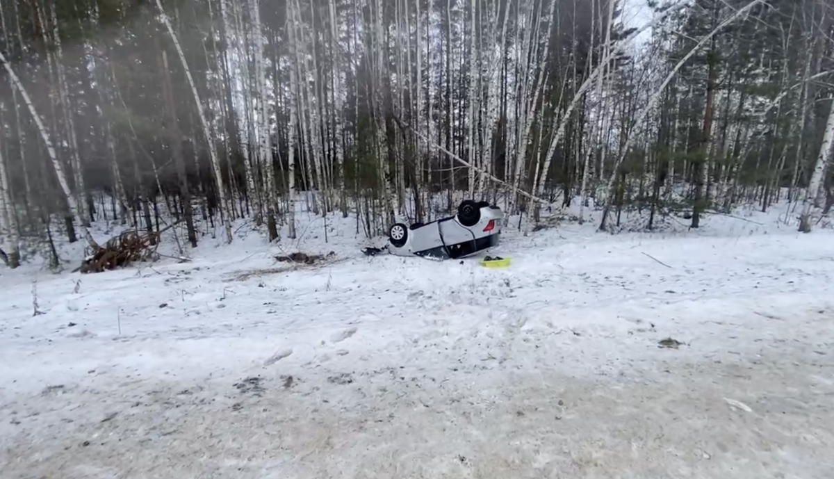 Два человека пострадали в перевернувшейся иномарке в Княгининском округе - фото 1