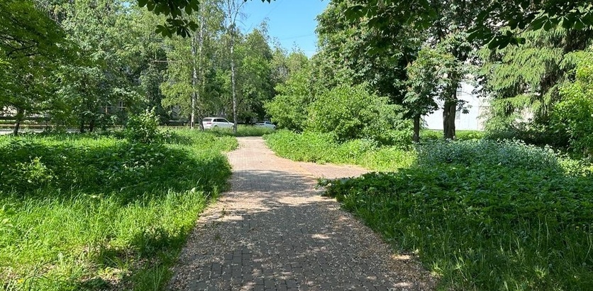 Две прогулочные зоны на улице Кировской появятся в 2024 году - фото 1